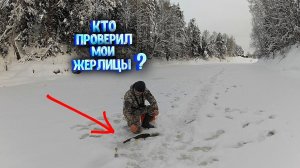 КТО ПРОВЕРИЛ МОИ ЖЕРЛИЦЫ? Проверяю оставленные на ночь жерлицы