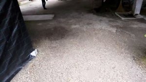 ГДЕ ПОХОРОНЕН БРОДСКИЙ В ВЕНЕЦИИ НА ОСТРОВЕ САН МИКЕЛЕ. СТРАВИНСКИЙ И ДЯГИЛЕВ. San Michele, Venezia