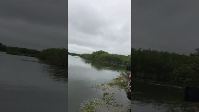 РЫБАЛКА НА КАМЧАТКЕ
