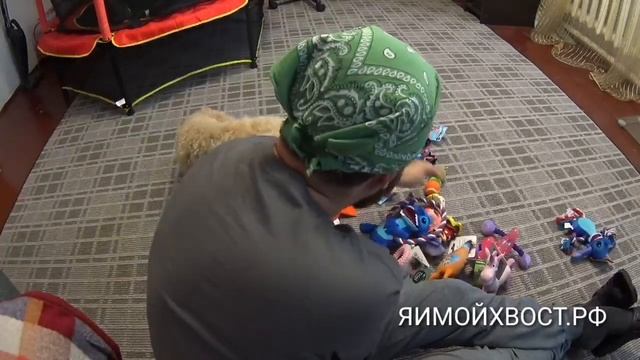 Игрушки TRIOL для собак, на что обратить внимание при выборе. смотреть онлайн