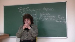 Психолог Наталья Кучеренко. Невербальное общение. Лекция 2 из 3, № 06.