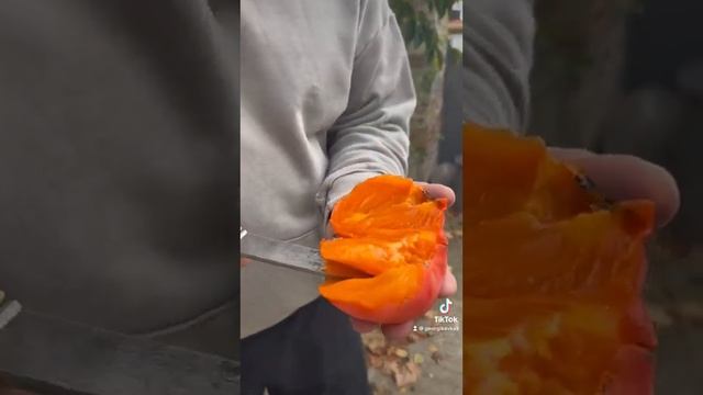 Хурма на вкус как мёд! смотреть онлайн