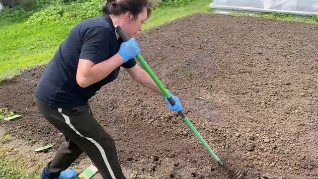 Выращиваем горох и фасоль! Легко, вкусно и полезно! смотреть онлайн