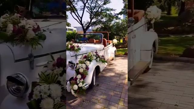 car flower decoration for wedding#short #flower #flowerdecoration #viralvideo