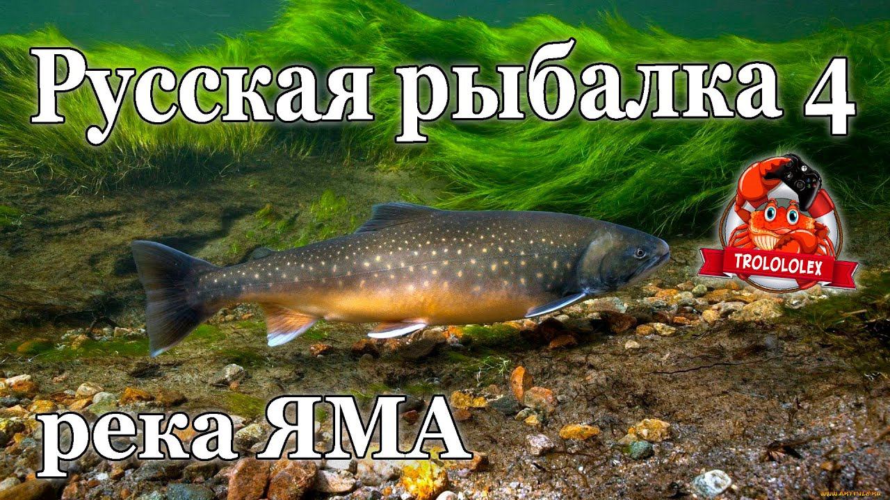 Русская рыбалка 4 Душевная рыбалка на реке Яма смотреть онлайн