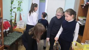 Помощь приюту животных