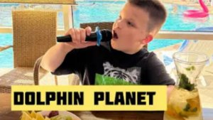 Dolphin planet дельфинарий с сауной с выходом в бассейн