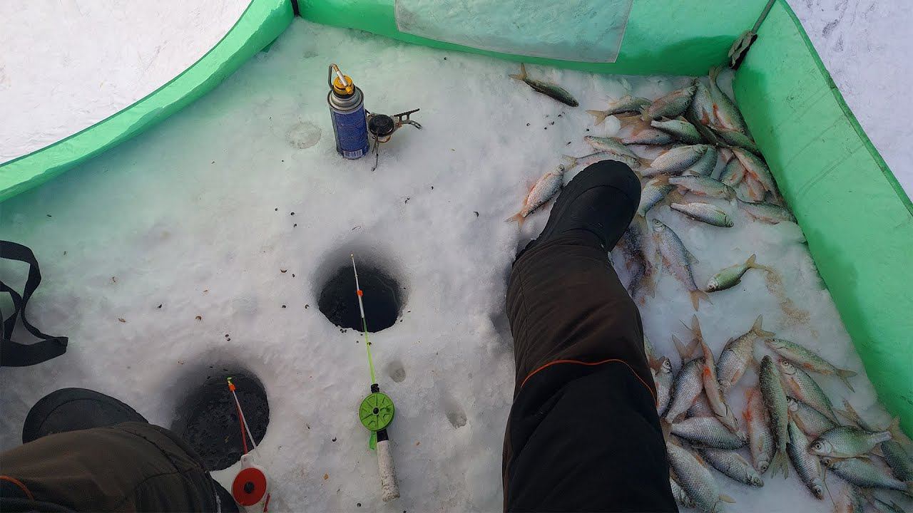 РЫБЫ МНОГО, КЛЮЕТ ЧАСТО, НО... ЗИМНЯЯ РЫБАЛКА НА ЧЕБАКА, ОКУНЯ смотреть онлайн