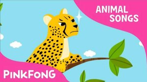 Cheetah Bang Bang | Cheetah | Animal Songs | Pinkfong Songs for Children