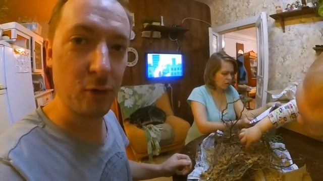 МАЛИНА! Проект САЖЕНЦЫ, часть 4. смотреть онлайн