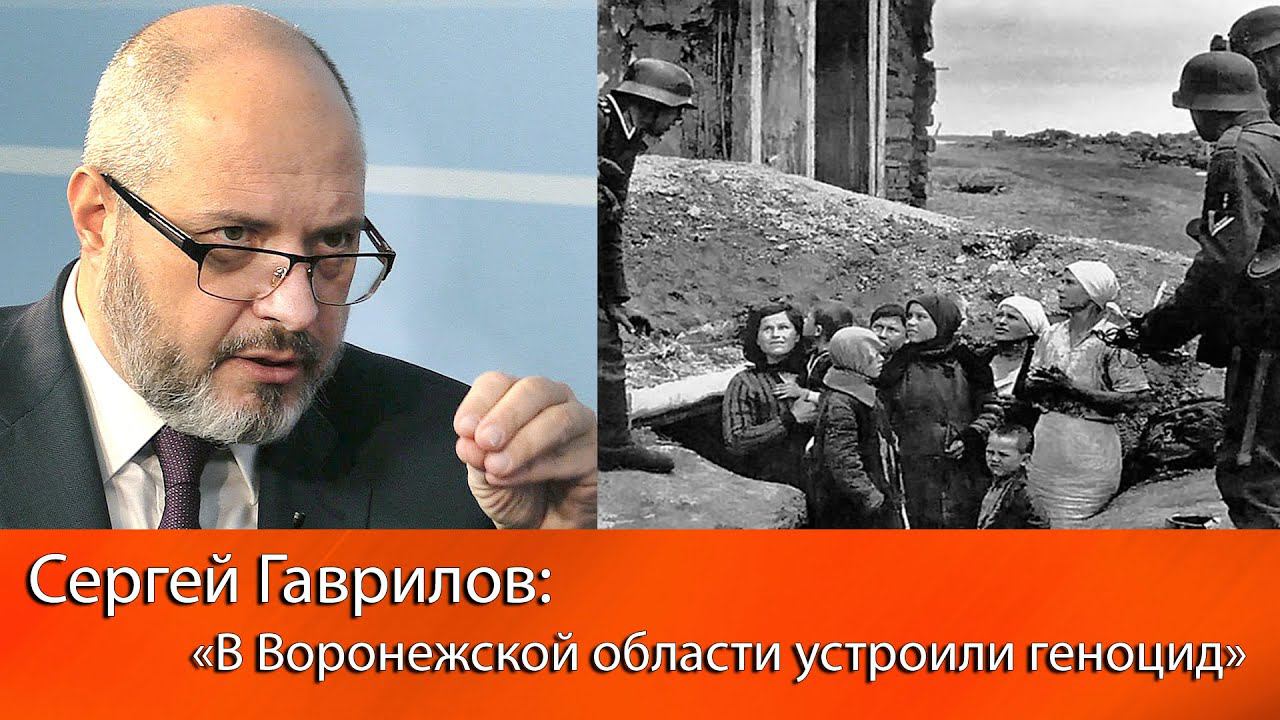 Сергей Гаврилов: «В Воронежской области устроили геноцид»