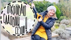 Прогулка по саду #8  Первая прогулка в 2024 году  Как перезимовали растения? Февраль 2024