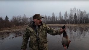 Весенняя охота на утку с подсадной!