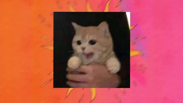 Flëur Будь моим смыслом Пожалуйста, будь моим, пожалуйста, будь моим смыслом spedup tik tok1 смотреть онлайн