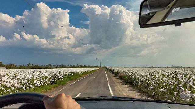 With the Windows Down! смотреть онлайн