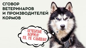 Есть ли сговор между ветеринарами и производителями кормов