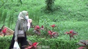 Statue prank VS Bushman prank || Video prank super kocak
