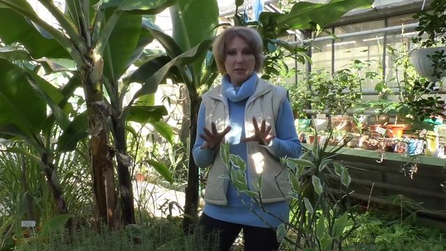 Инсектициды и природные вещества против вредителей растений смотреть онлайн