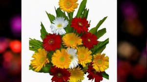 Order Online Flowers In Pune