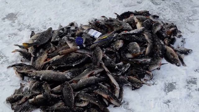 Рыбалка на реке Илекса смотреть онлайн