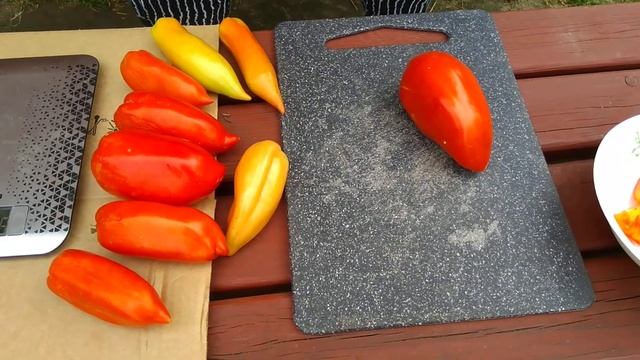 Томат Карнабель f1 Что выросло из своих семян.Обзор и дегустация. смотреть онлайн