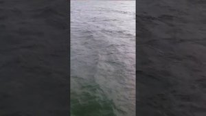 Сумгаит море