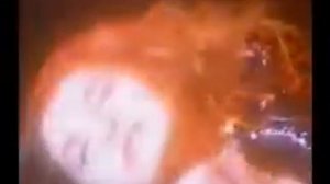Malice Mizer - Illuminati