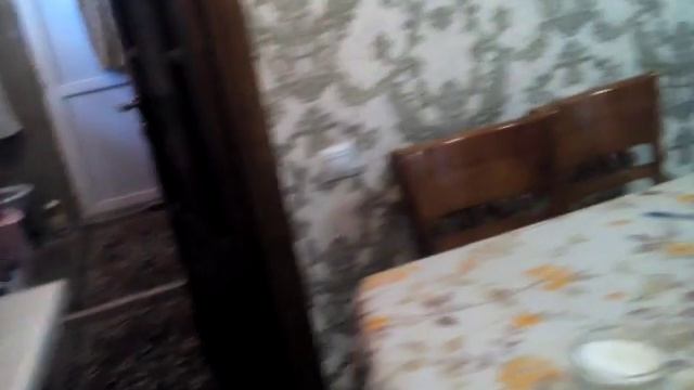 Вызываем кота жиланий ,он пришёл:) смотреть онлайн