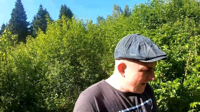 "КЛЮЧИК ЗОЛОТОЙ", КОП-ЖАРА, МОСКИТЫ, ЗАВЯЗАЛ... смотреть онлайн