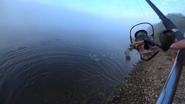 Оторвался по Лещу и поймал красно книжную рыбу. Рыбалка на Оке 25.07.2021 смотреть онлайн