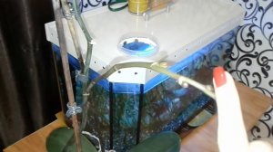 Чтобы орхидея ветвилась