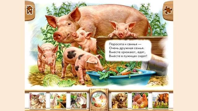 Учим животных №5 смотреть онлайн