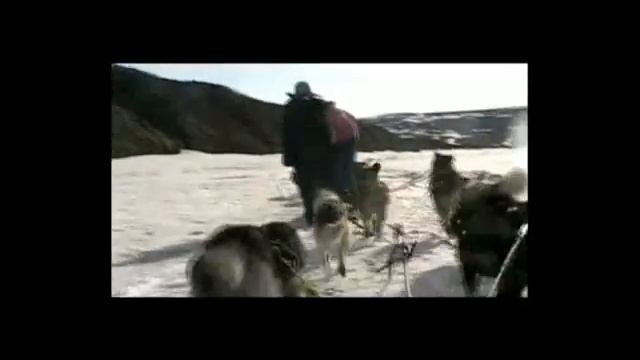 doggy1300 mov ff смотреть онлайн