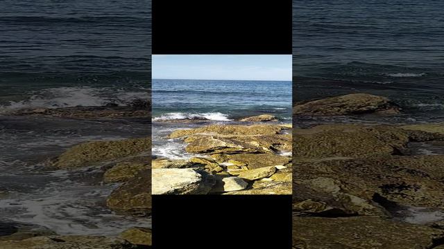 VID20240806103051.mp4