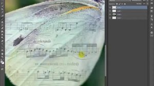 Wings of Butterfly with Music Notes | Photoshop HD