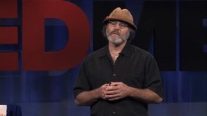 Пол Стемец на TED MED про Траметис Многоцветный (Ts. versicolor) и его противораковые свойства