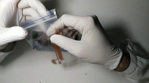 Реанимация Canon 600d