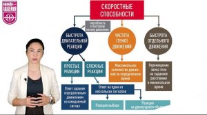 Скоростные способности. Урок 1. Основные определения