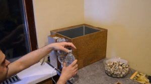 Закладка перепелиных яиц в инкубатор. Мой дебют.