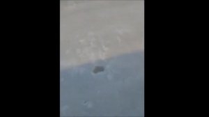 лучший каток в Уярском районе в поселке Громадск