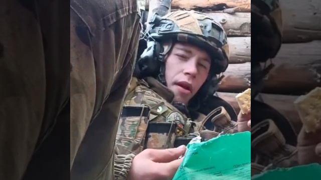 Будни свинарей в своей естественной среде обитания.