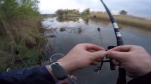 Ловля сома с берега