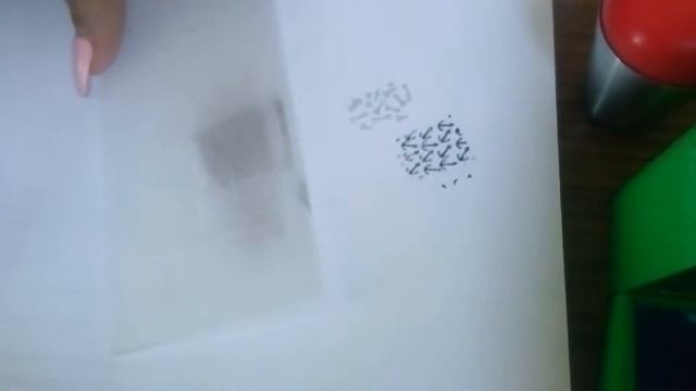 Лаки для стемпинга пин пай, пластины пластик для стемпинга, штампы борн прити смотреть онлайн