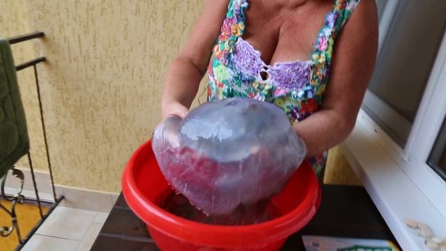 Ядовитая медуза в черном море