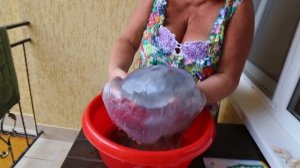 Ядовитая медуза в черном море