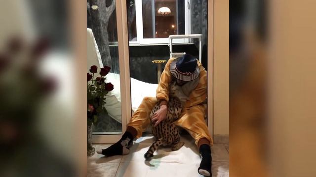 АНДРЕЙ АФОНИН / АФОНЯ / INSTAGRAM ВИДЕО
