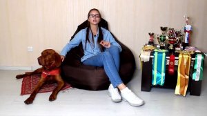 все о породе венгерская выжла. легавая все о породе гладкошерстная жесткошерстная венгерская выжла