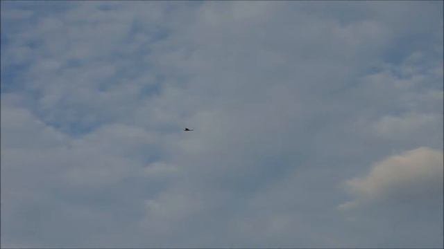 Радиоуправляемый самолет Nine Eagles 