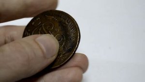 Павловский перечекан - редкость