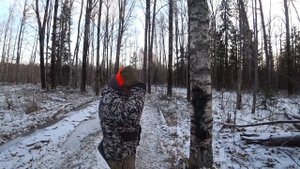 ОХОТА НА ЛОСЯ в Кировской области. Загонщики и номера. OFFROAD УАЗы и Квадроциклы.